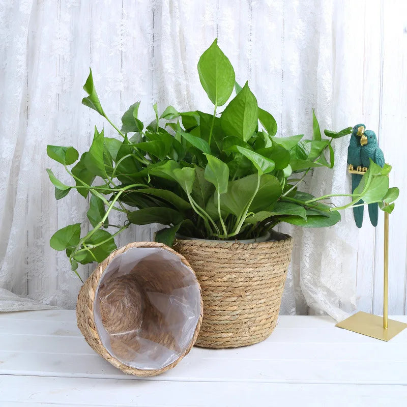 Straw Woven Plant Pot Basket – Indoor & Outdoor Decorative Planter Cover
